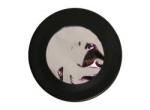 SWSolarFilter